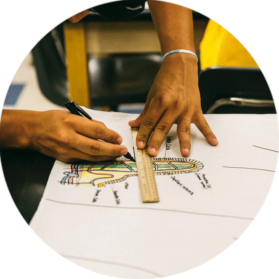 hand measuring with a ruler